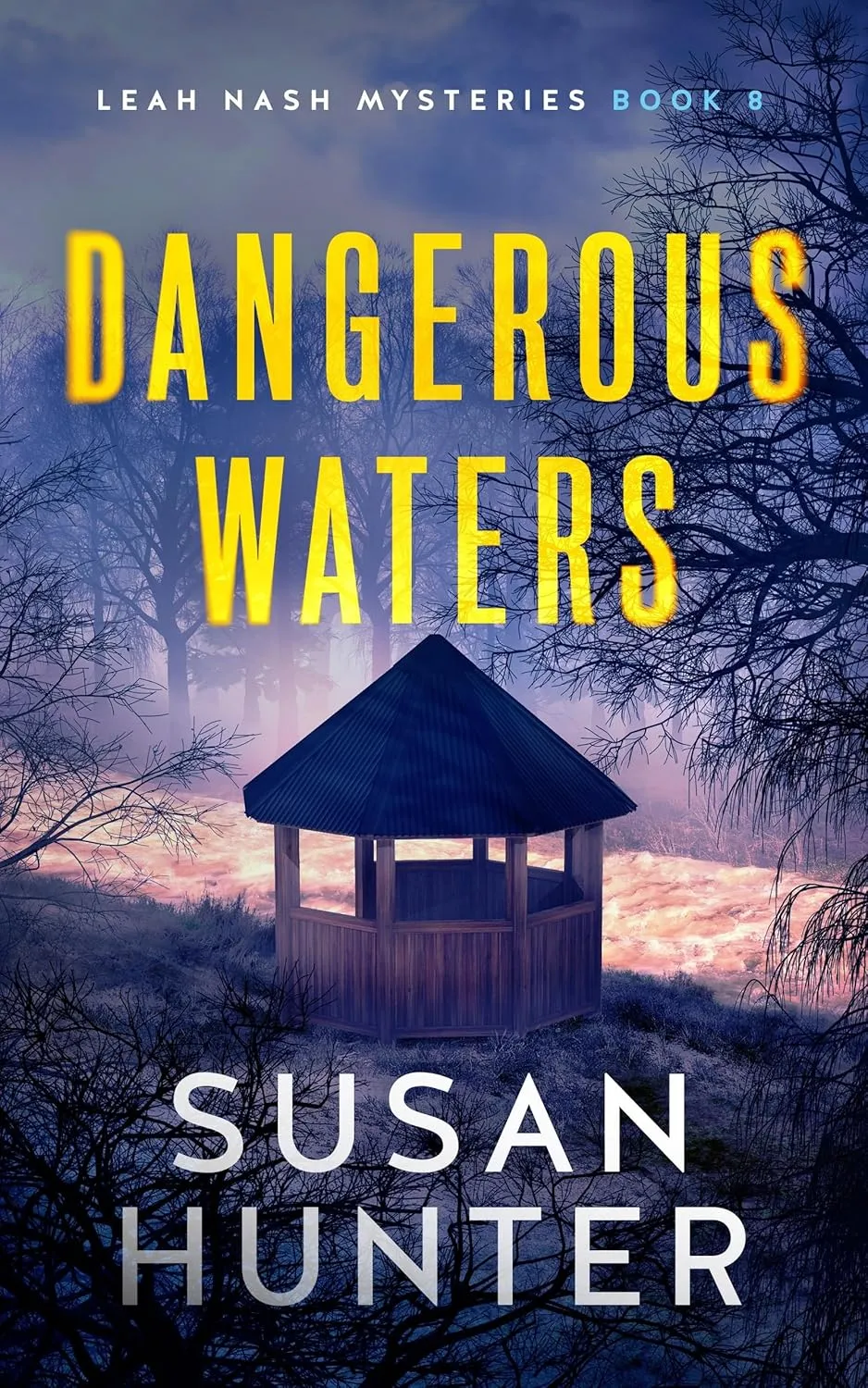 Dangerous Waters (Leah Nash Mysteries, 8) Paperback  October 19, 2021